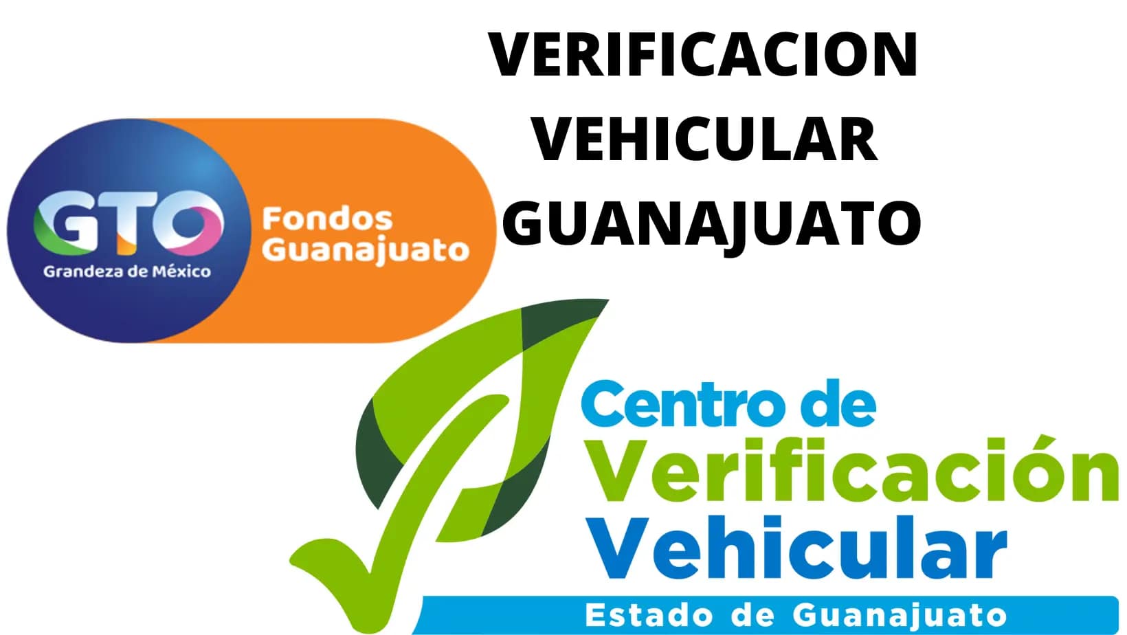 VERIFICACION GUANAJUATO
